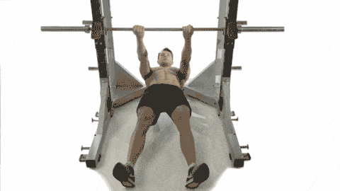 inverted row