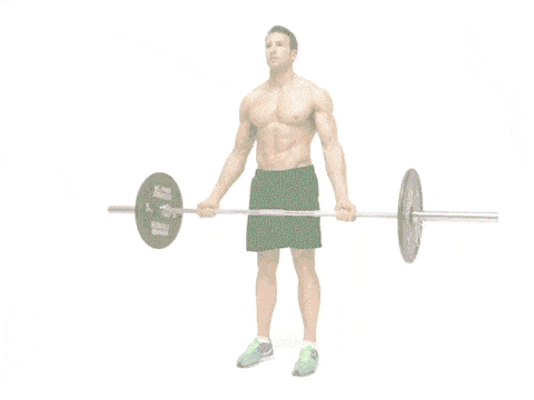 Standing Barbell Curl
