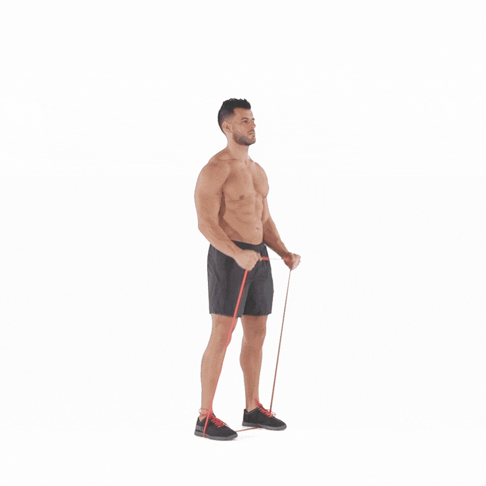standing-resistance-band-hammer-curl.gif